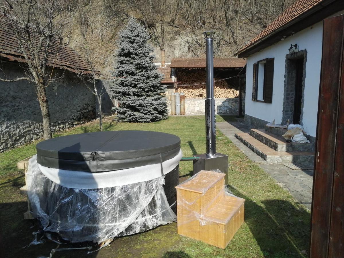 Vila Casa Sasca Montană Exteriér fotografie